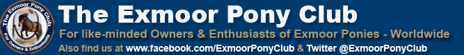 Exmoor Pony Club