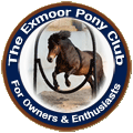 Exmoor Pony Club