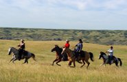 Ranch Rider