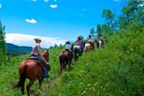 Ranch Rider