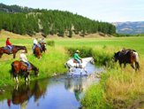 Ranch Rider