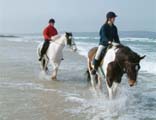 Cornish Riding Holidays